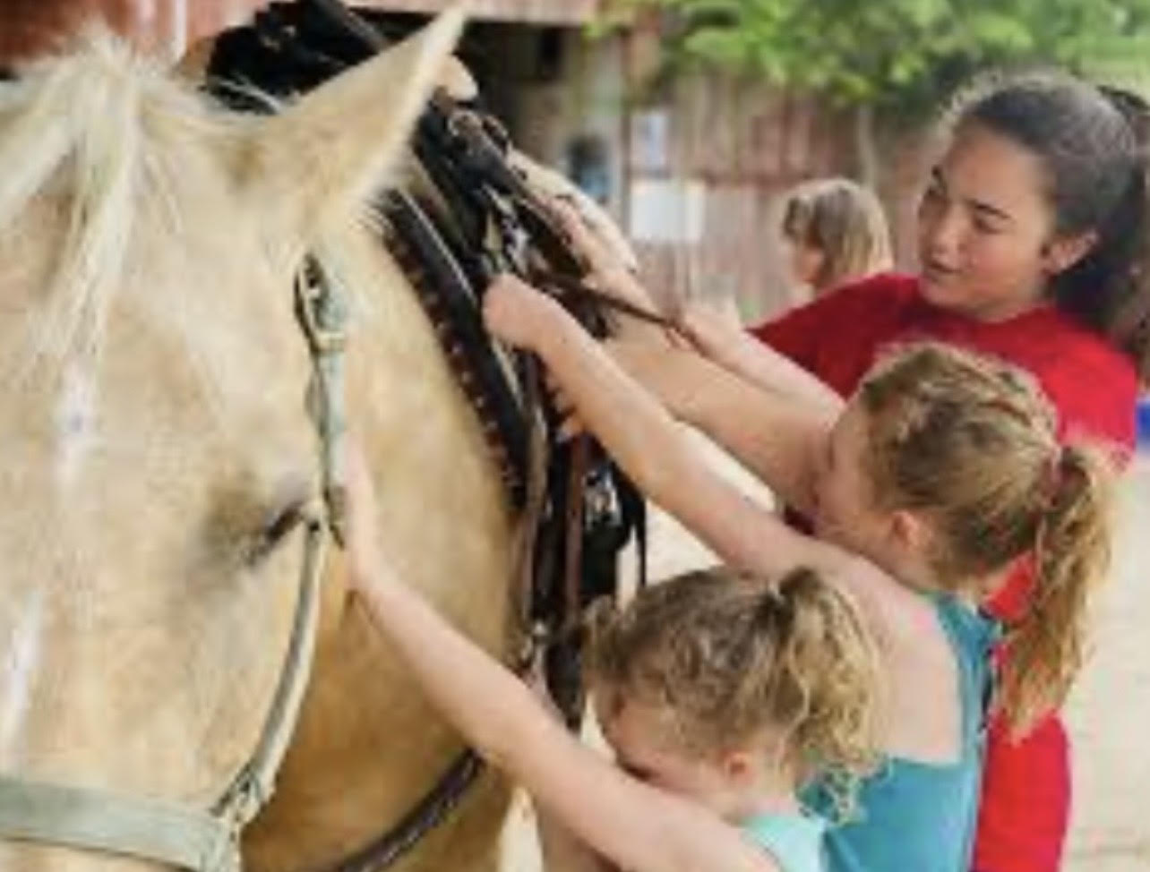 Children helping with horse care at the Kinship ranch