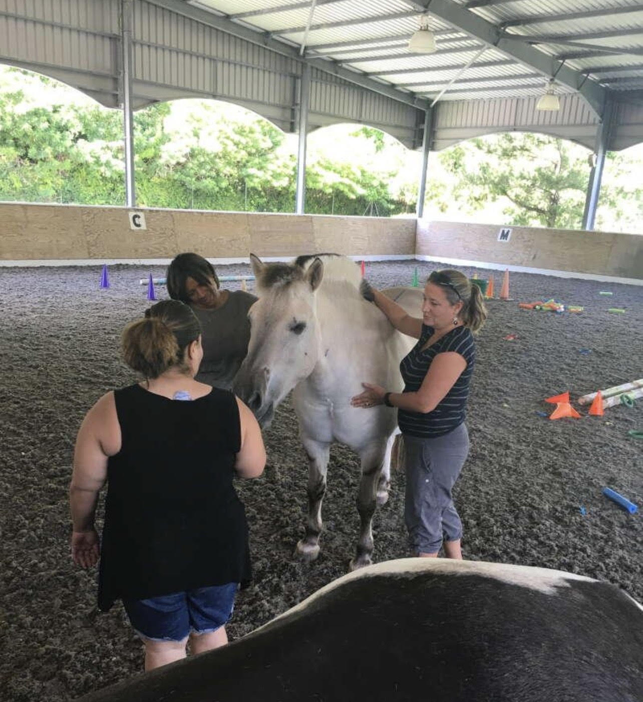 Three people connecting with a horse inside the covered arena during an equine-assisted session