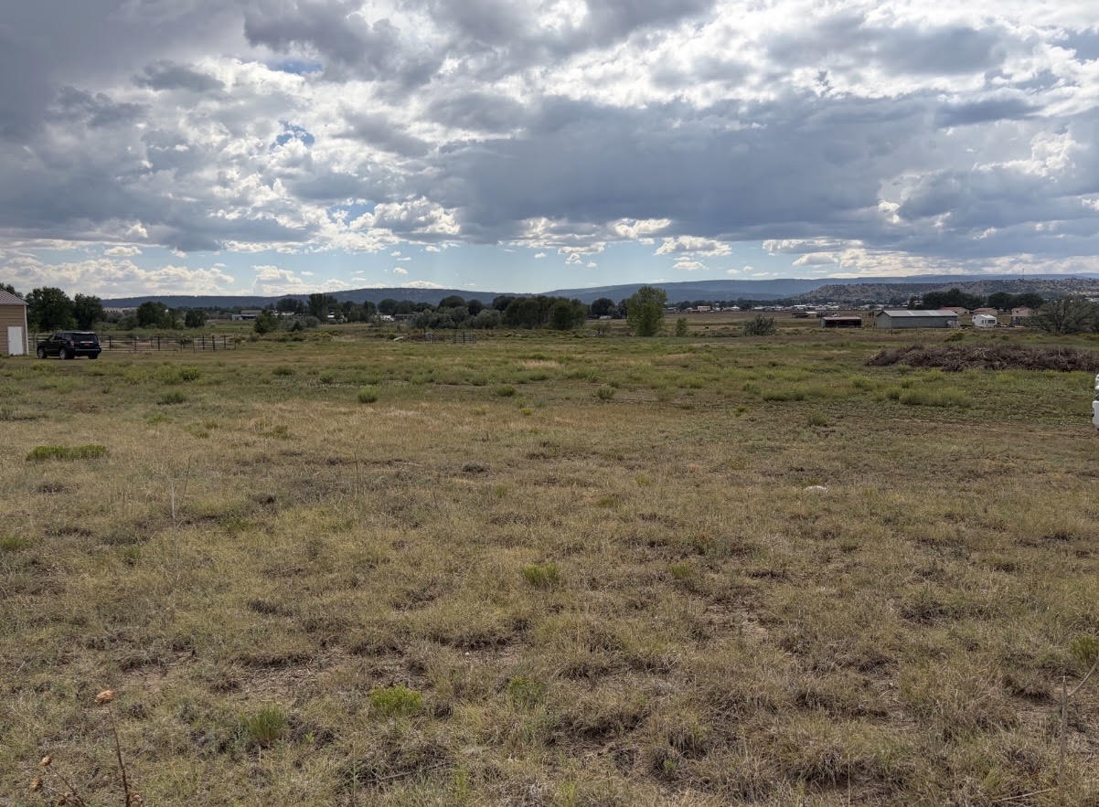 Open ranch property in Las Vegas, New Mexico where Kinship Equine Therapy plans to build the covered arena