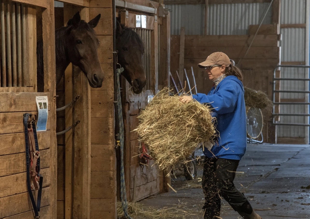 Volunteers working together caring for a horse at the Kinship ranch